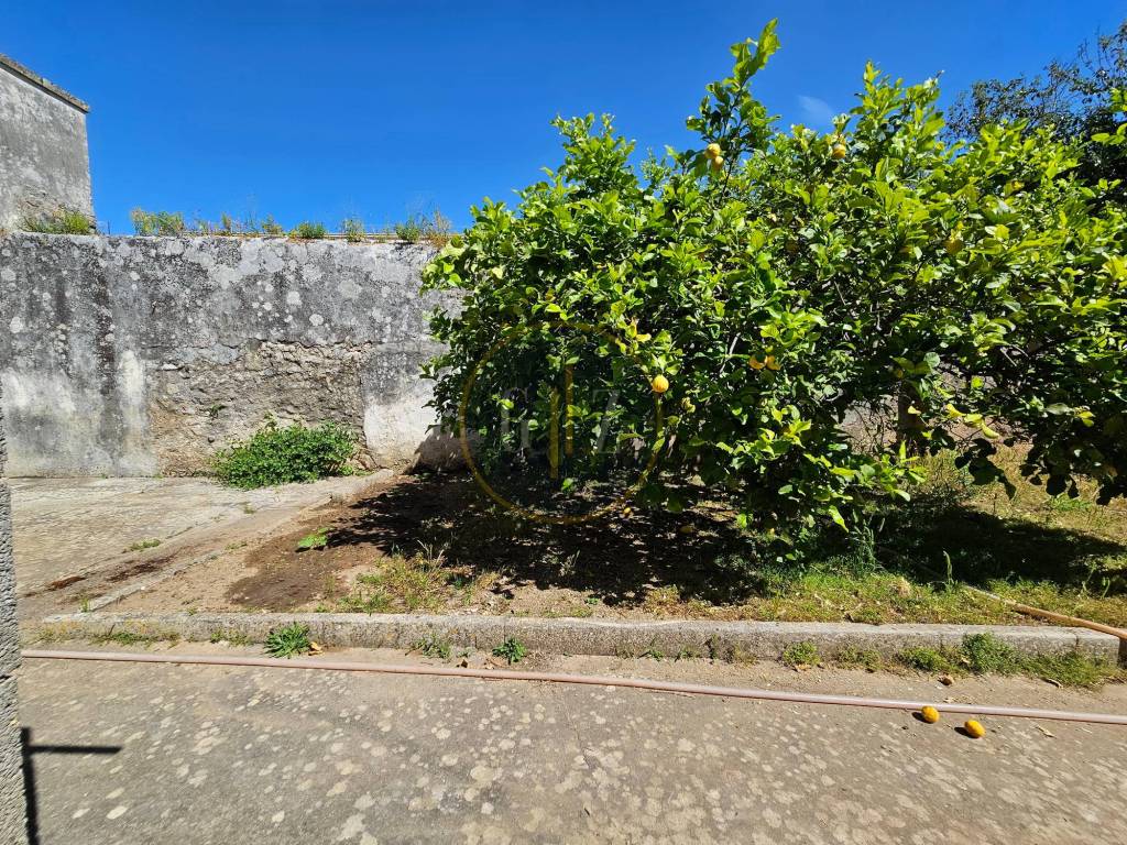 Terreno