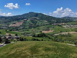 Vista