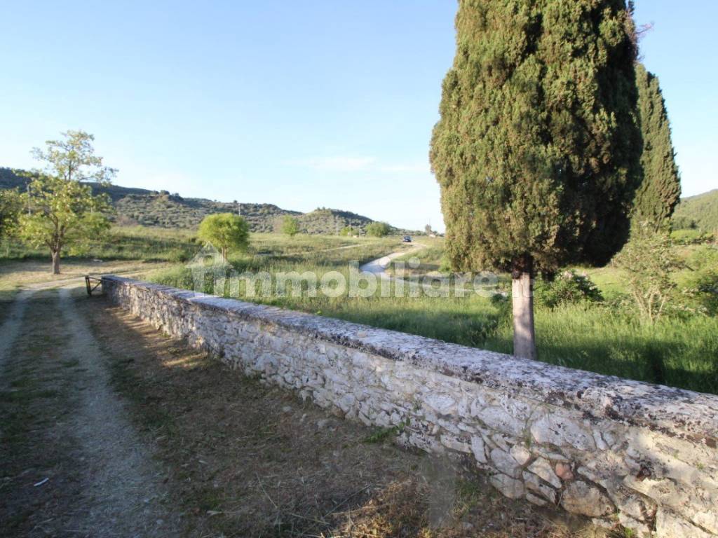 Terreno