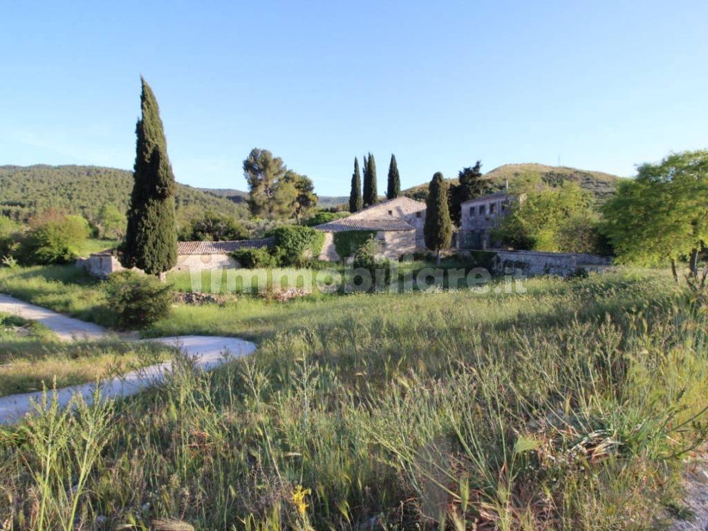 Terreno