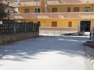 Zona