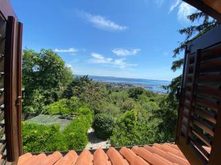 Vista