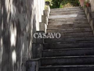 Scala