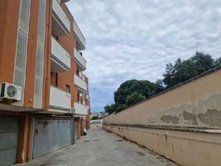 Zona