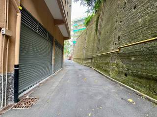 Zona