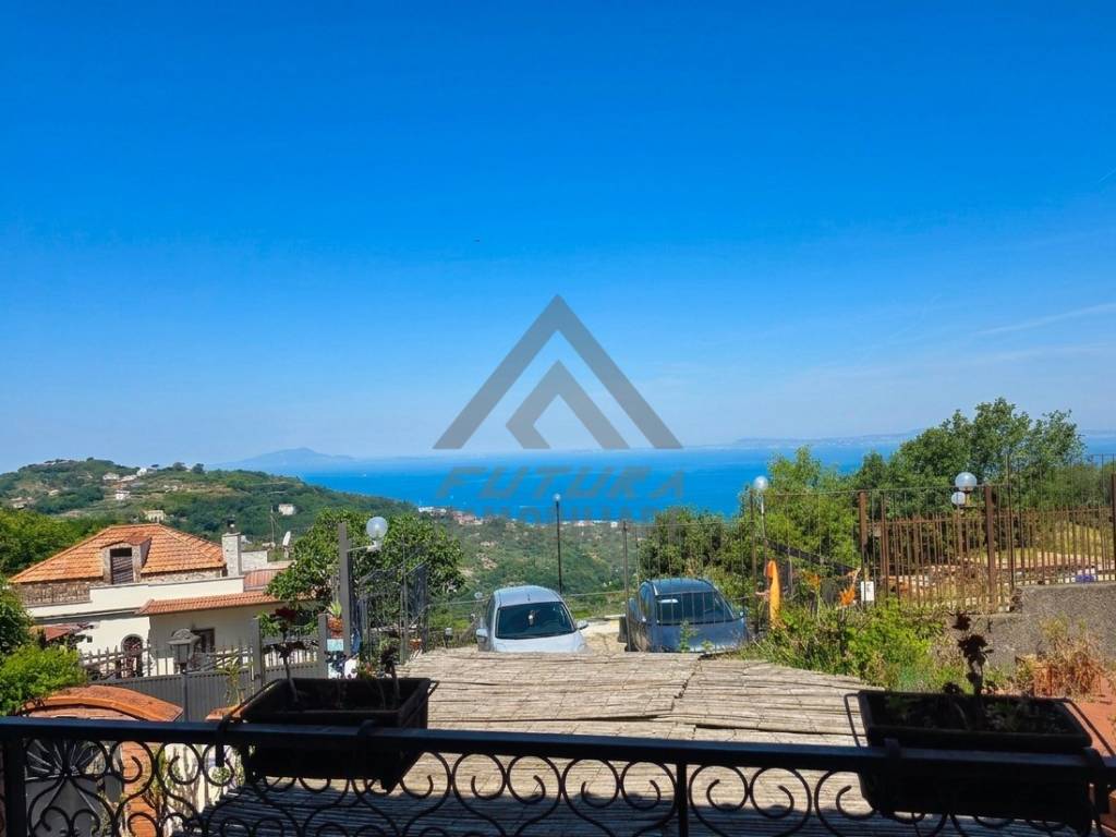 Vista