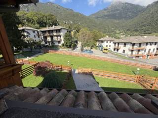 Vista
