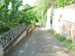 Zona