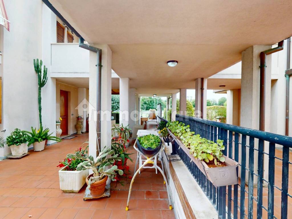 Terrazzo