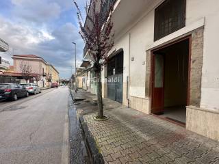 Zona