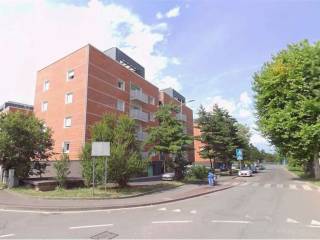 Zona