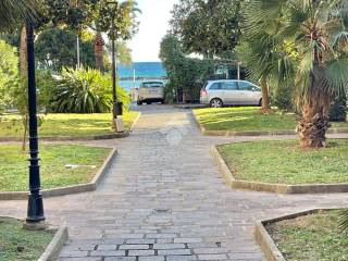 Zona