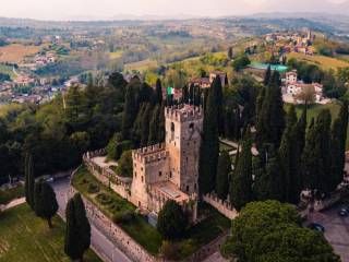 Vista