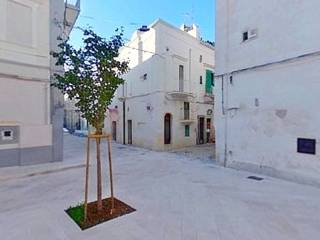 Zona