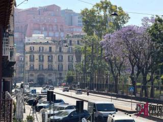 Zona