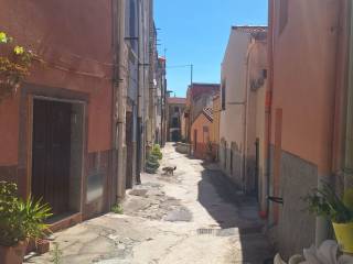 Zona
