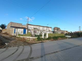 Zona