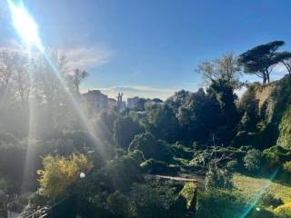Vista