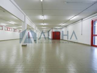 Magazzino