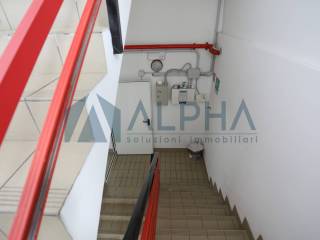 Scala