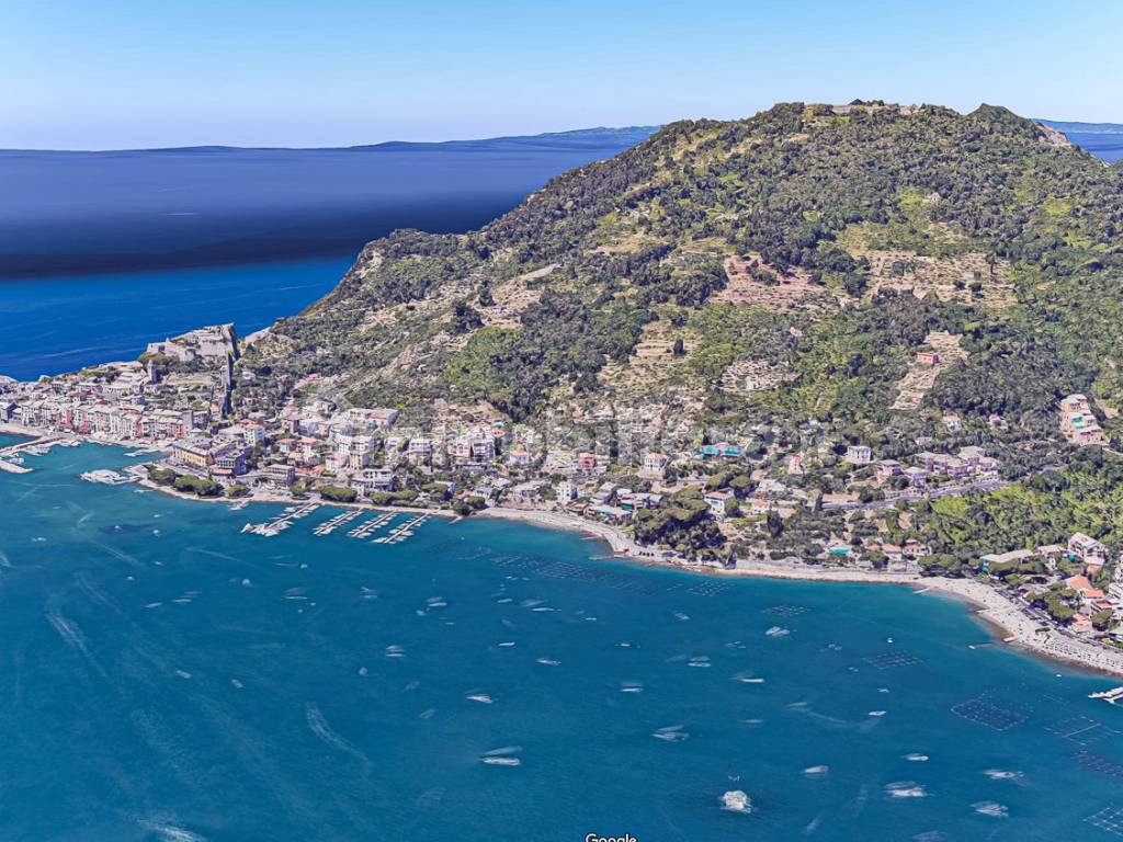 Vista