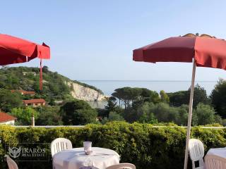 Vista
