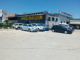 Zona