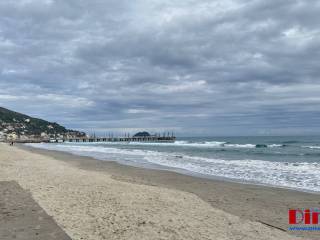 Zona