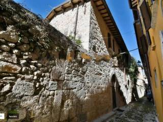 Zona
