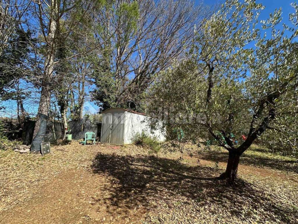 Terreno