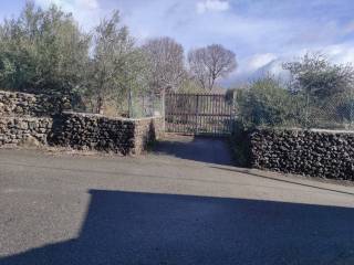 Zona
