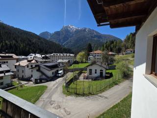 Vista