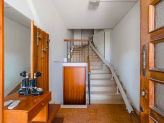 Ingresso