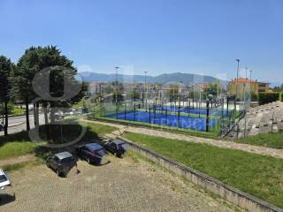 Zona