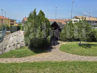 Vista