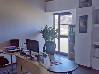 Studio