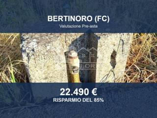 Altro