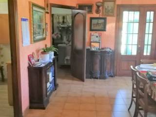 Taverna