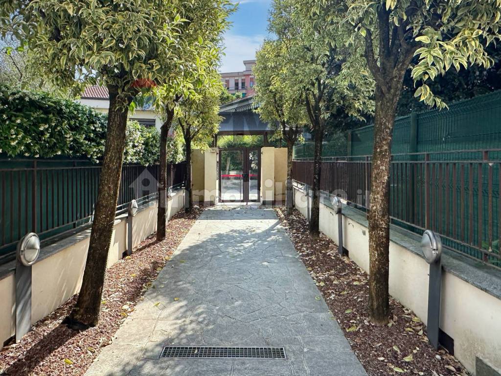 Ingresso