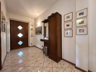 Ingresso