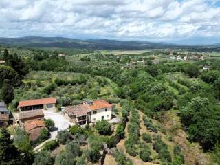 Vista