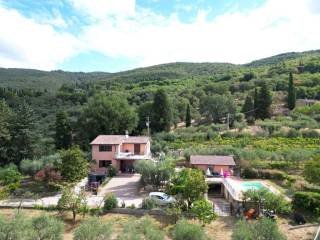 Vista