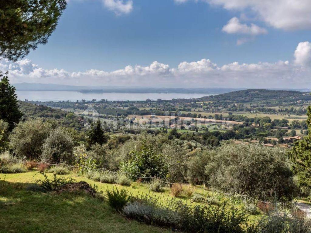 Vista