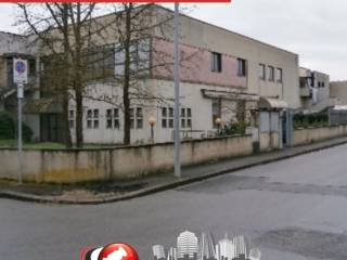Zona