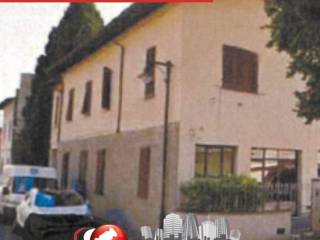 Zona