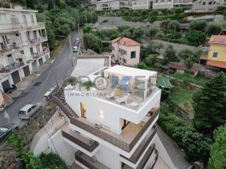 Vista