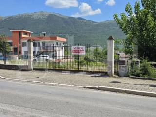 Zona