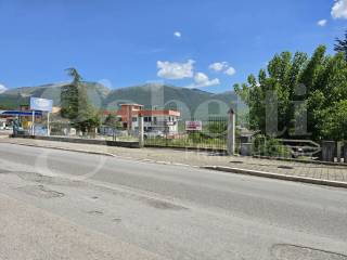 Zona
