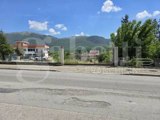 Zona