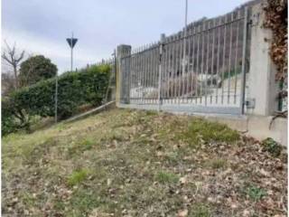 Zona